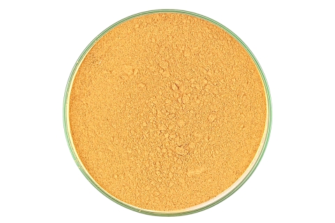 Guarana Mielona paullinia cupana pulvis